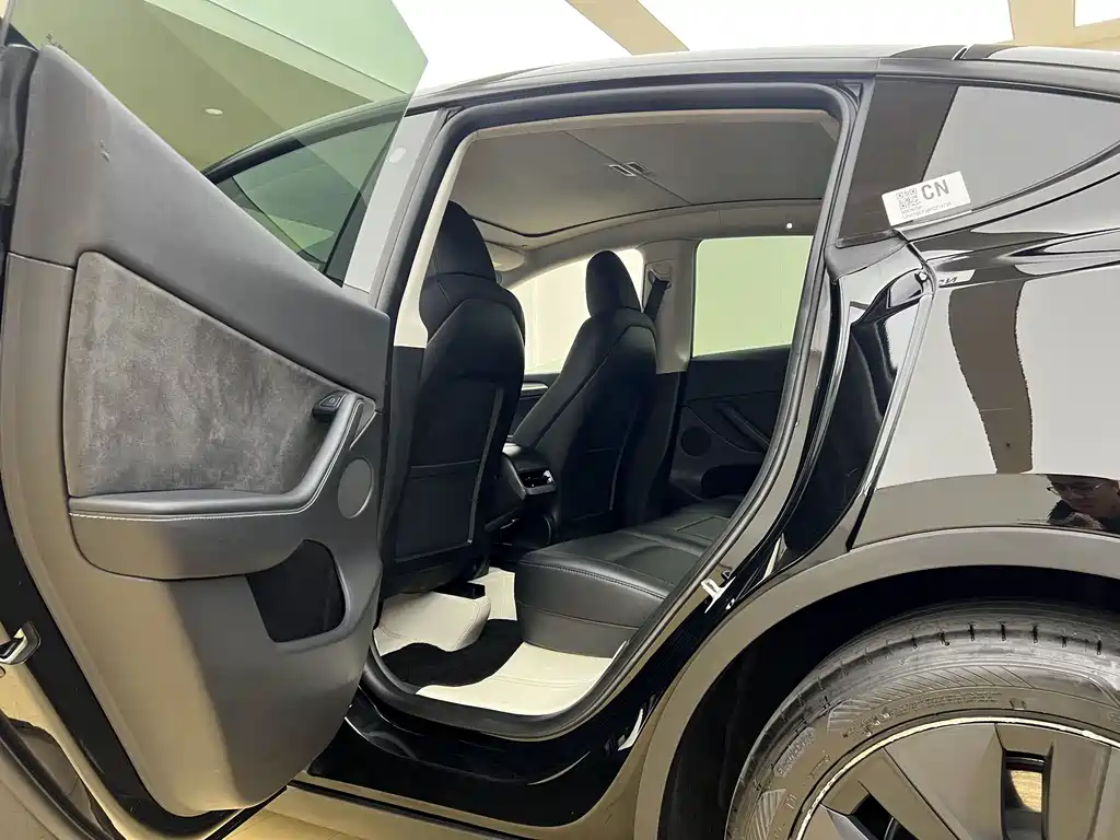 Tesla Model Y — миниатюра 8