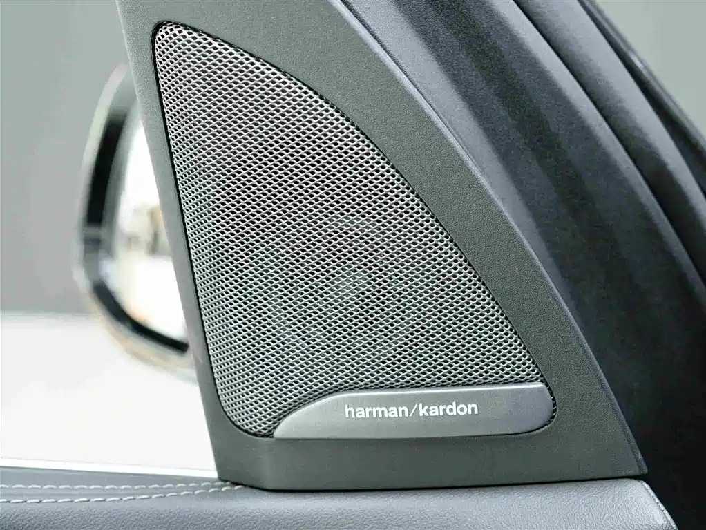BMW X7 — миниатюра 15
