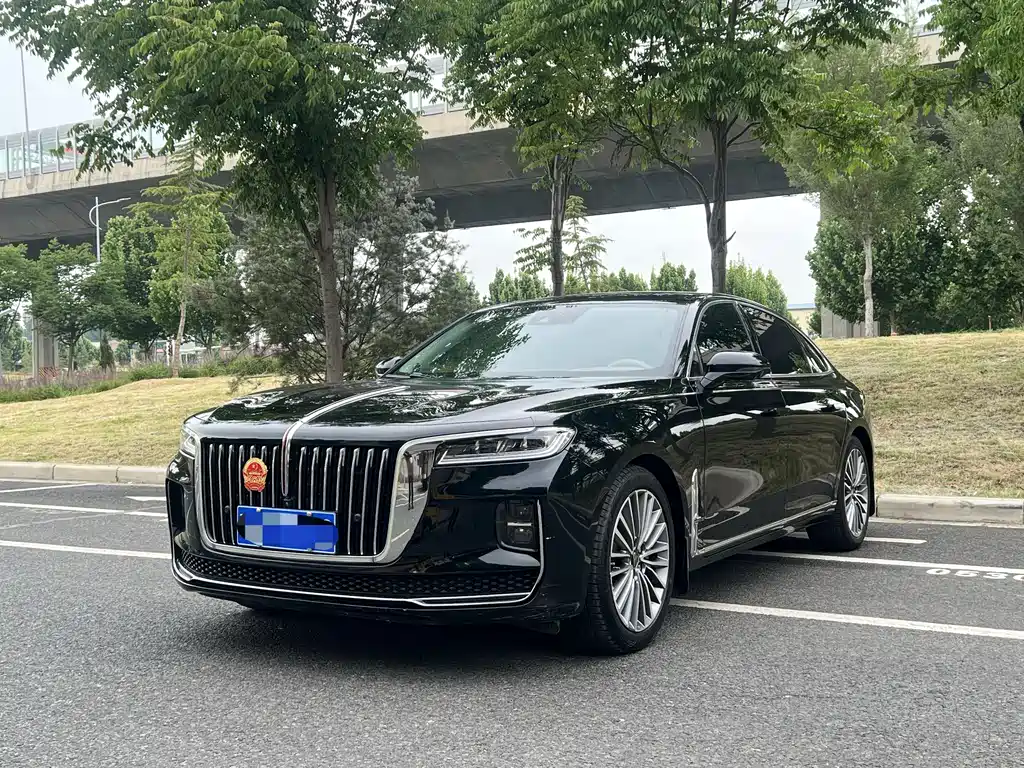 Hongqi Hongqi H9 2021