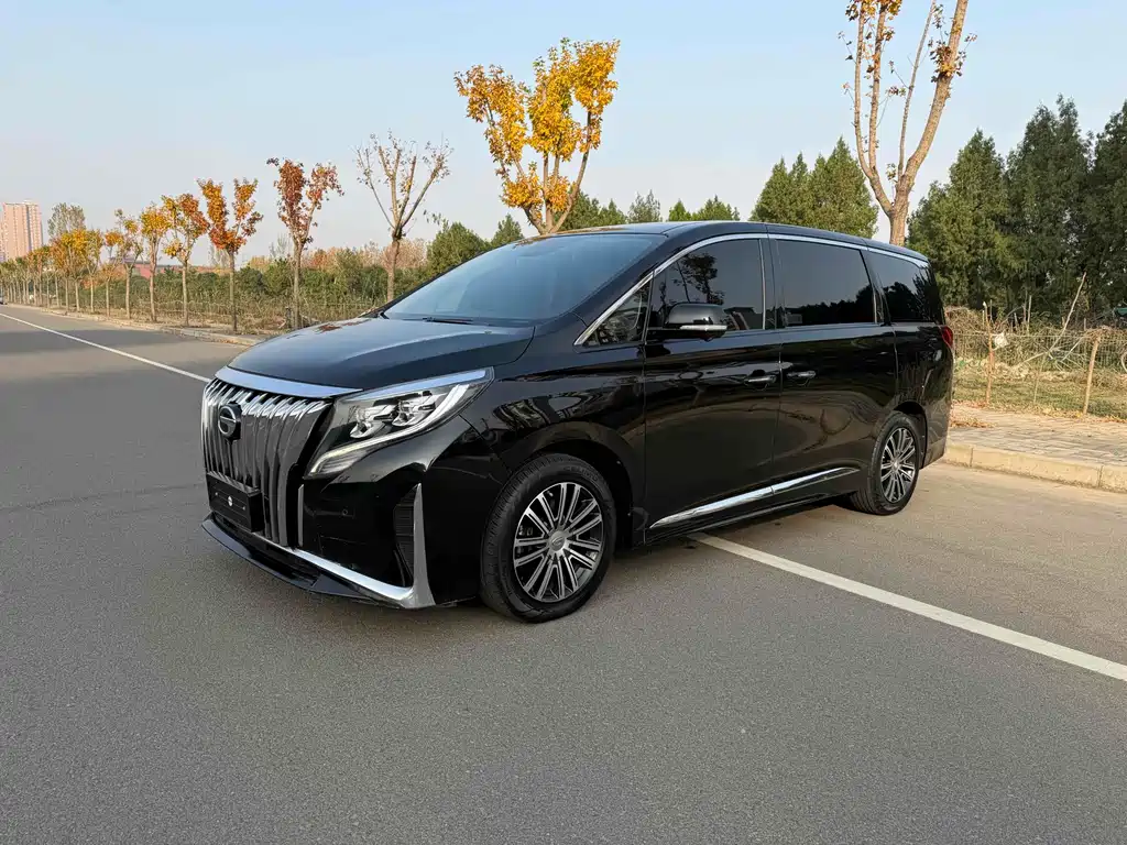Купить GAC Motor Trumpchi M8