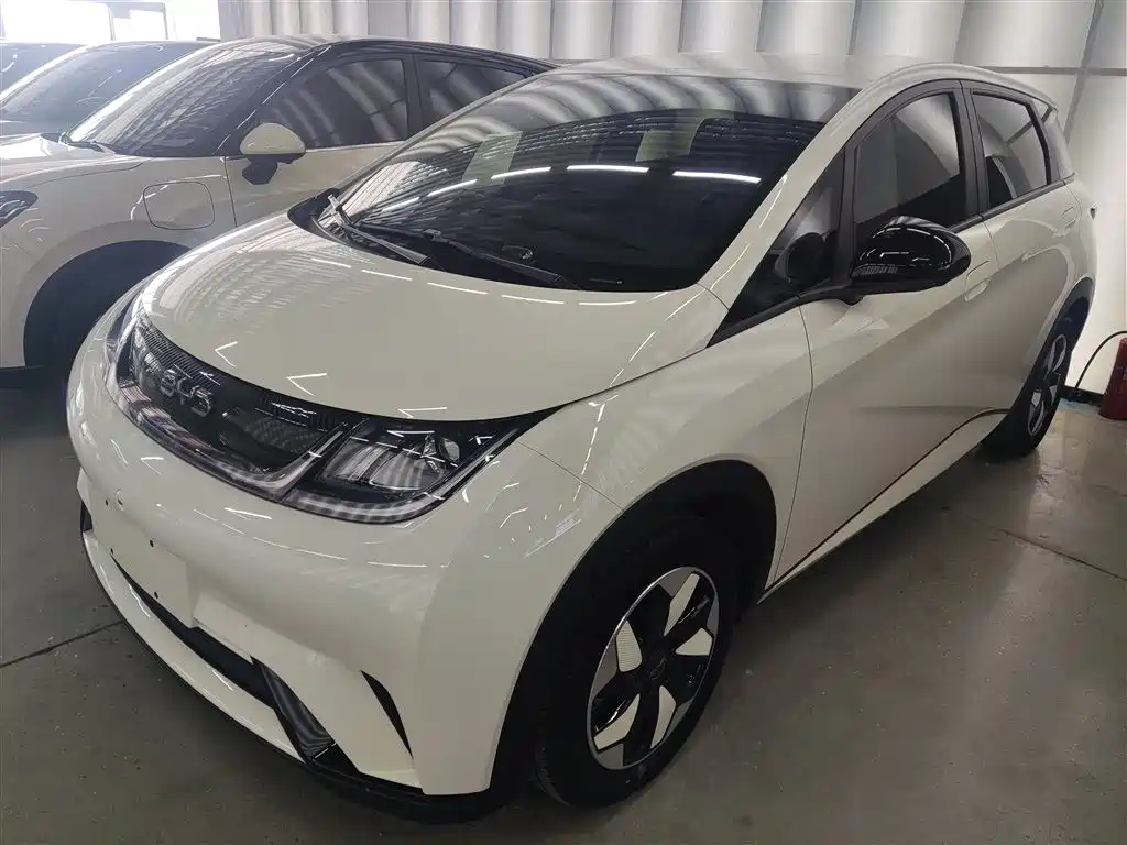 Byd Dolphin 2024