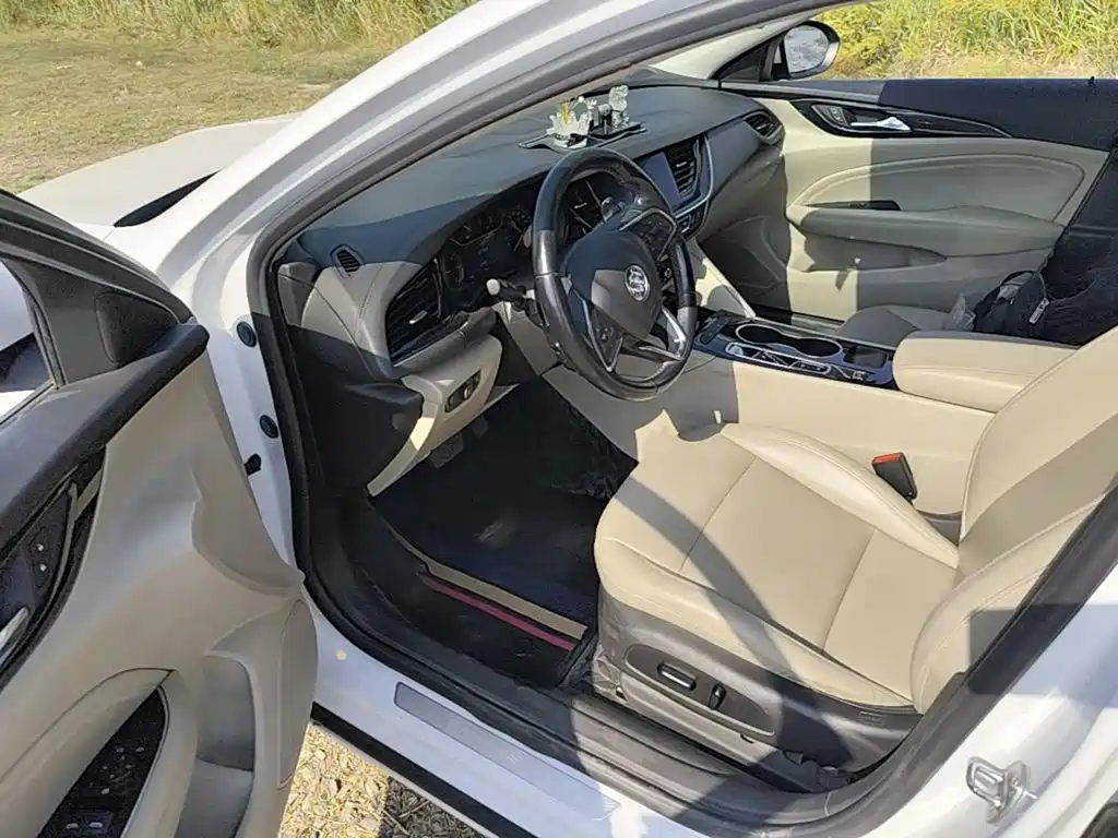 Buick Regal — миниатюра 21