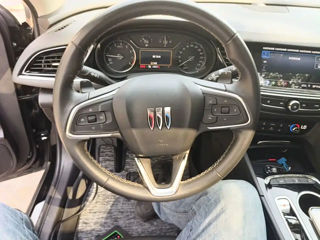 Buick Regal — миниатюра 11