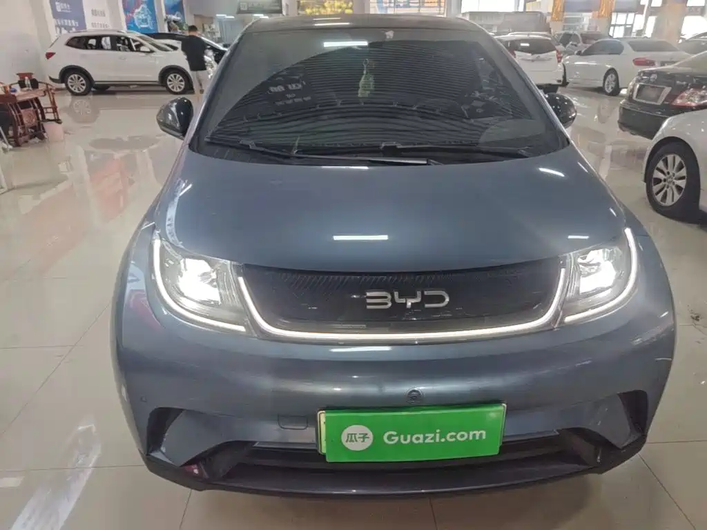 BYD Dolphin — миниатюра 3