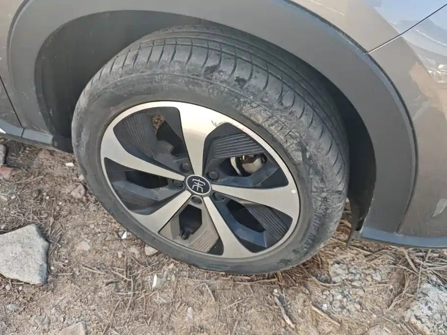 BYD PLUS New Energy — миниатюра 6