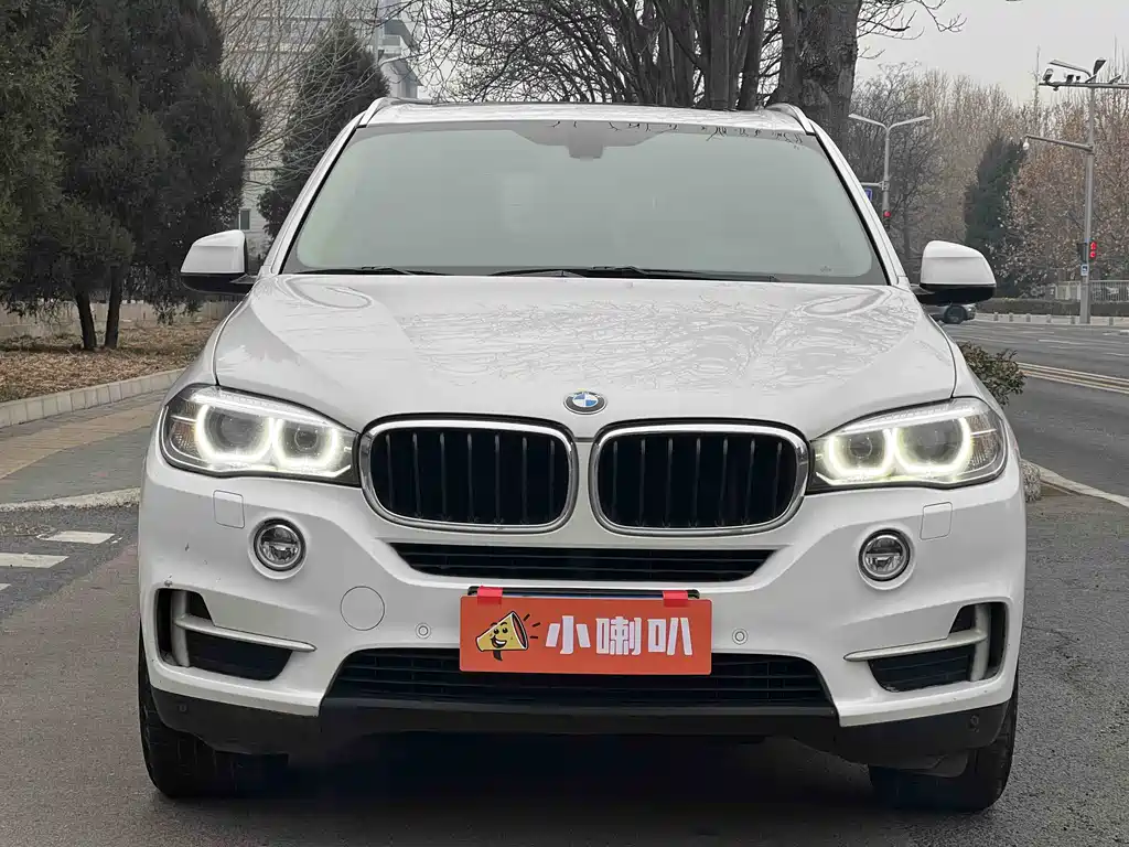 BMW X5 2014 xDrive35i Elegant