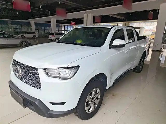 GREAT WALL CANNON 2022