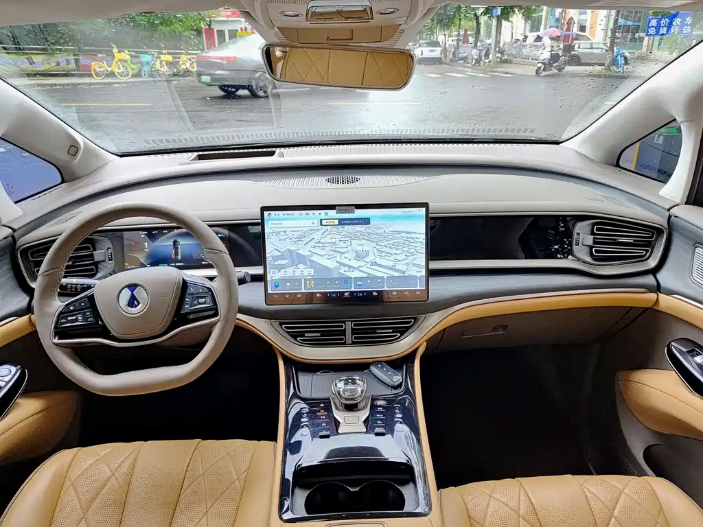 Denza Denza D9 — миниатюра 11