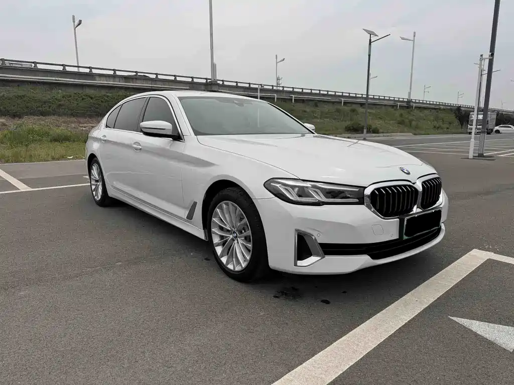 BMW 5 Series New Energy — миниатюра 3