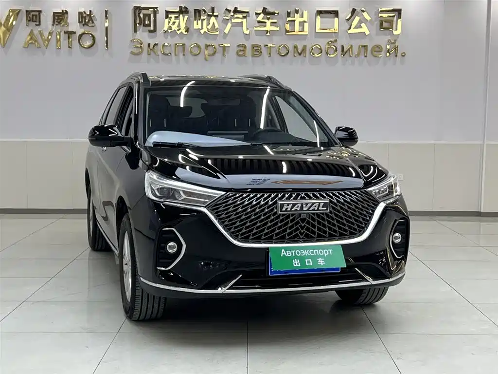 HAVAL M6