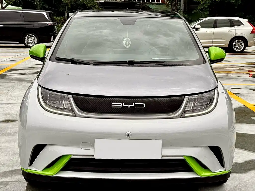 BYD Dolphin 2021 405km Fashion