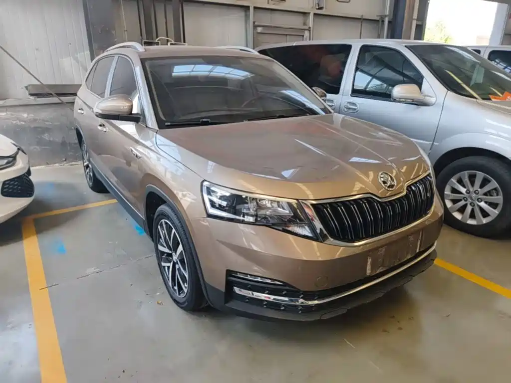 Skoda Kamiq — миниатюра 4