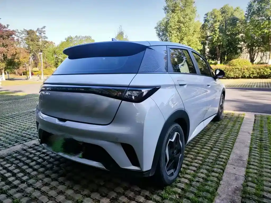 BYD Dolphin — миниатюра 5