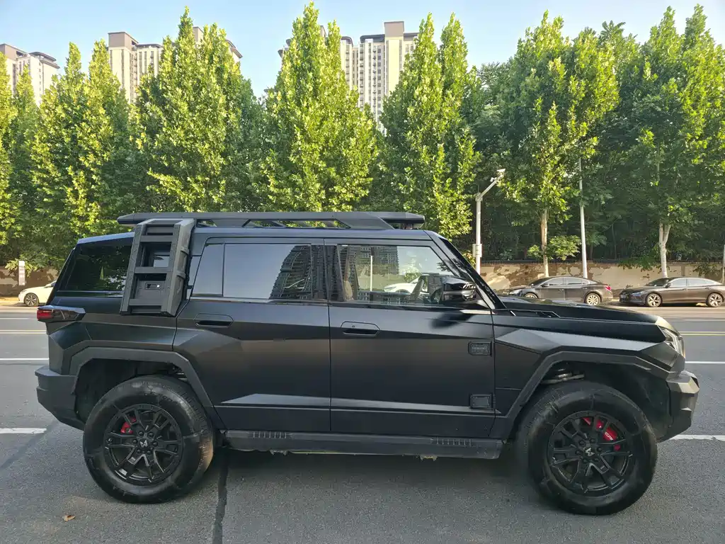Mengshi Mengshi 917 — миниатюра 5