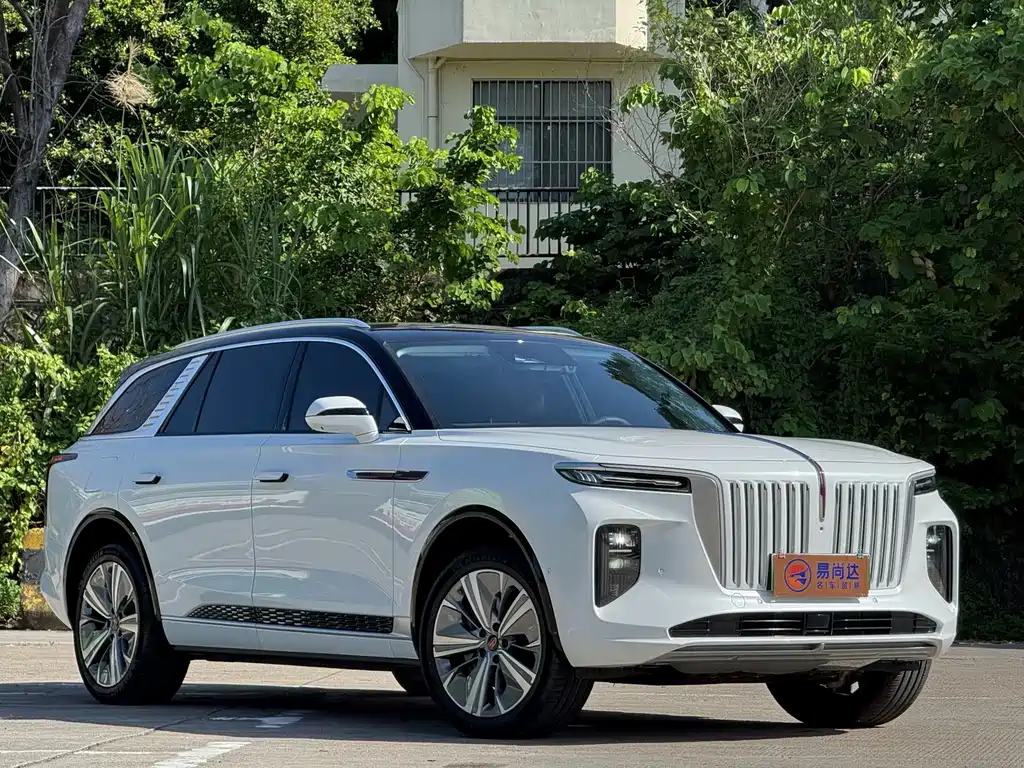 Hongqi Hongqi E-HS9 — миниатюра 2