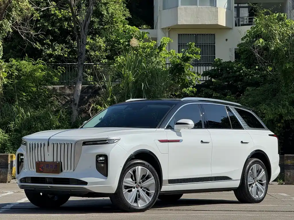 Hongqi Hongqi E-HS9 — миниатюра 3