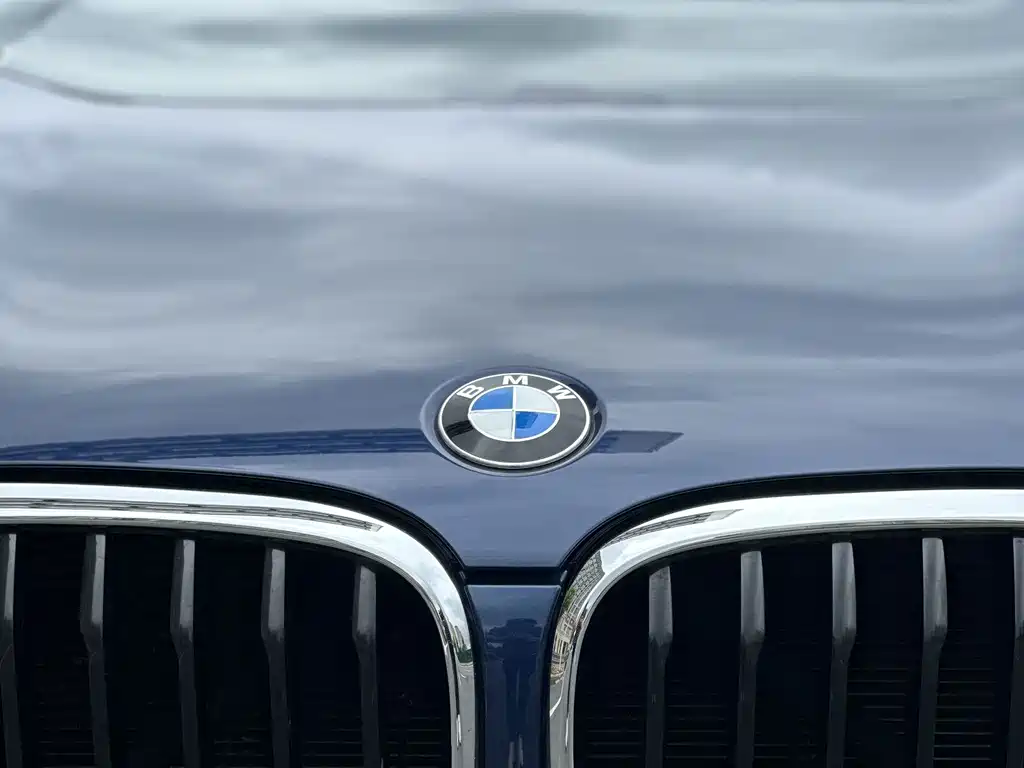 BMW X3 — миниатюра 5