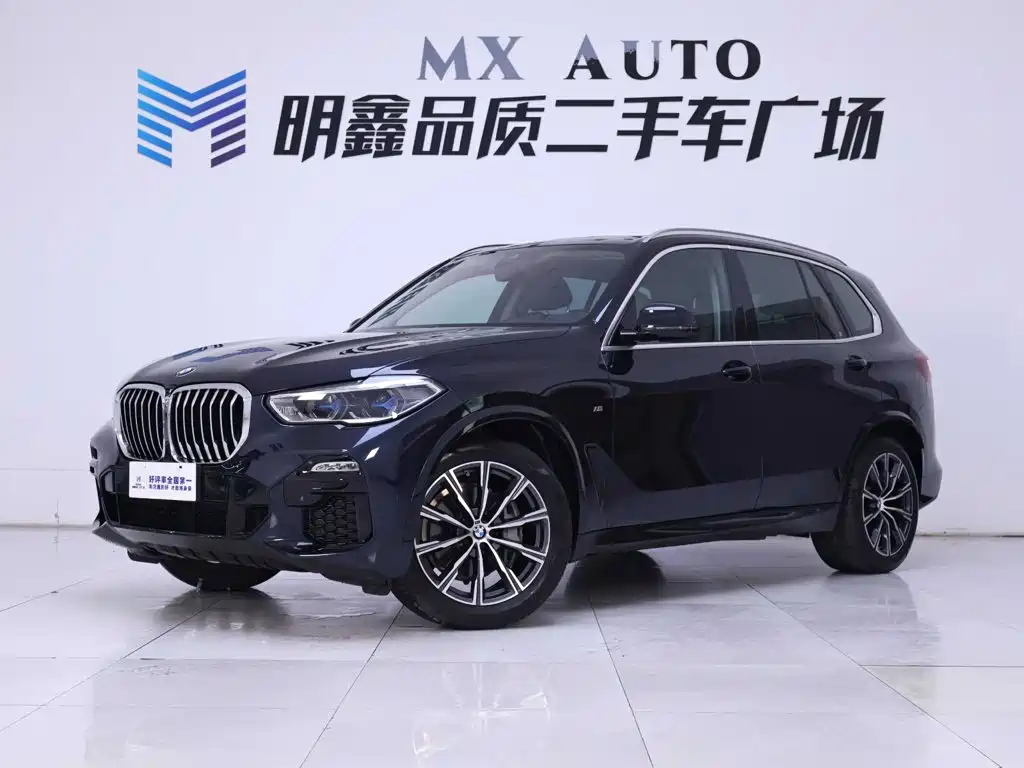 BMW X5 (Import) — миниатюра 2