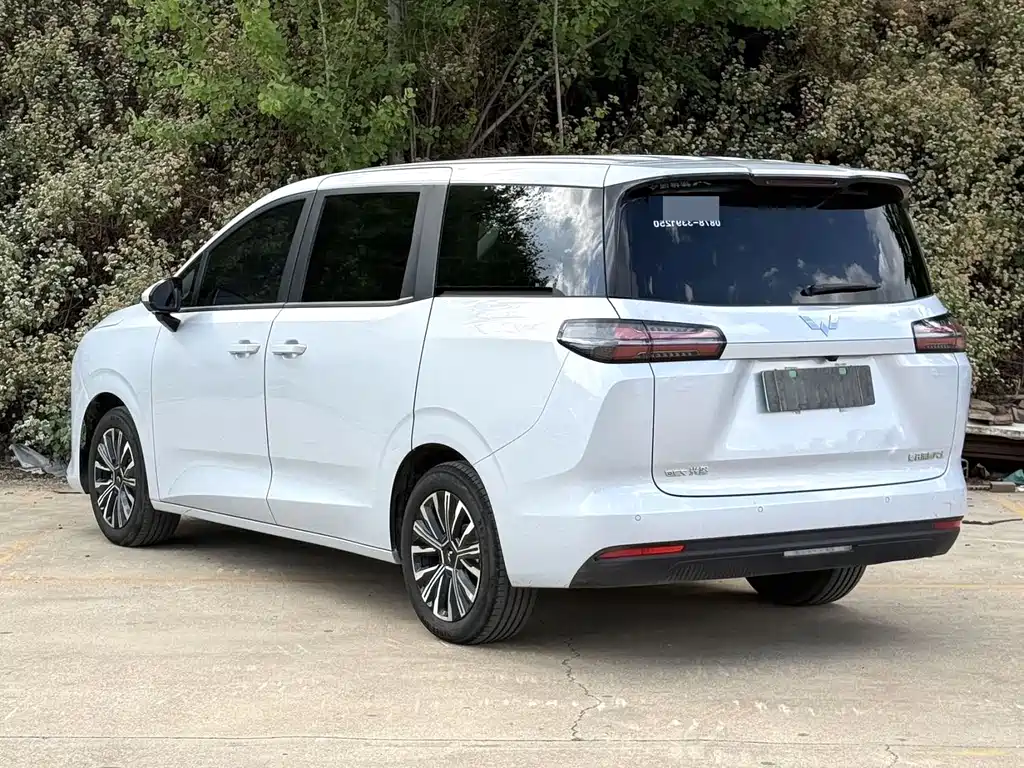 Wuling 730 2025 500km Luxury