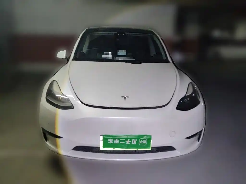 Tesla Model Y — миниатюра 2