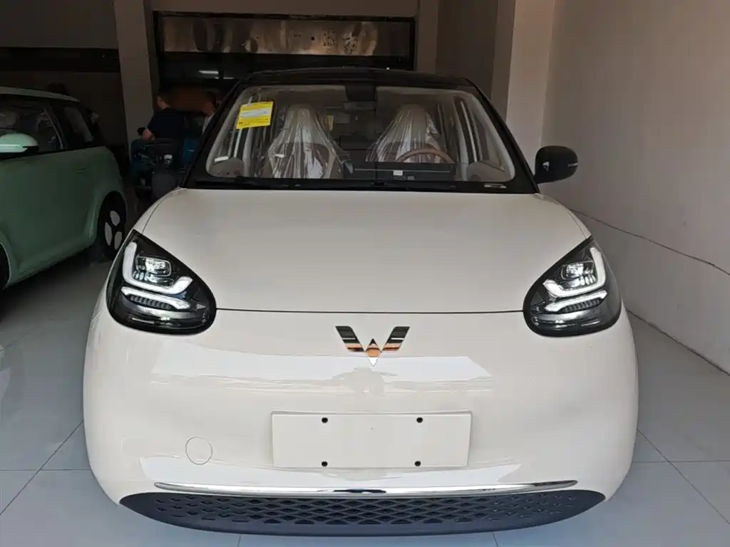 Wuling Binguo 2025 333km Enjoy
