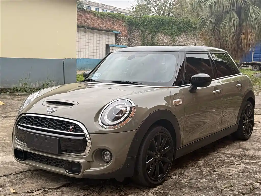 Mini Mini 2020