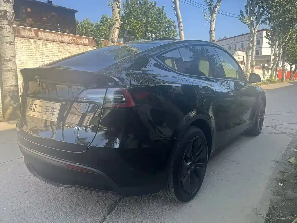 Tesla Model Y — миниатюра 4