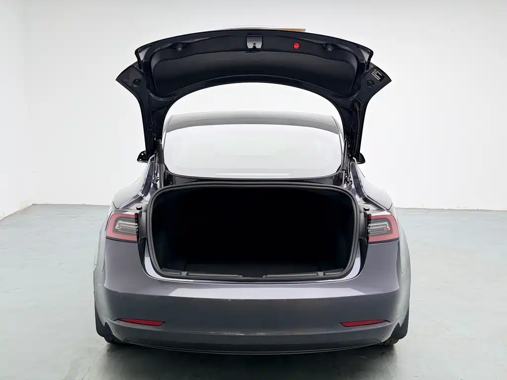 Tesla Model 3 — миниатюра 12
