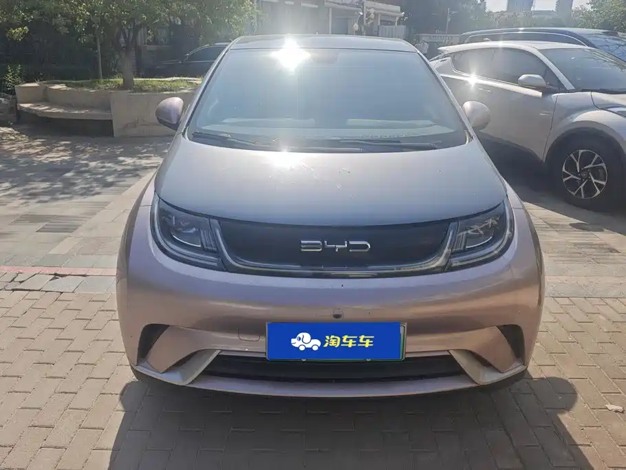 BYD Dolphin — миниатюра 2