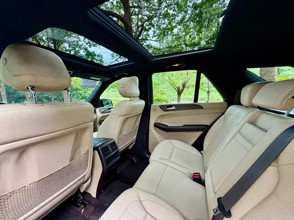 Mercedes-Benz GLE (Import) — миниатюра 8