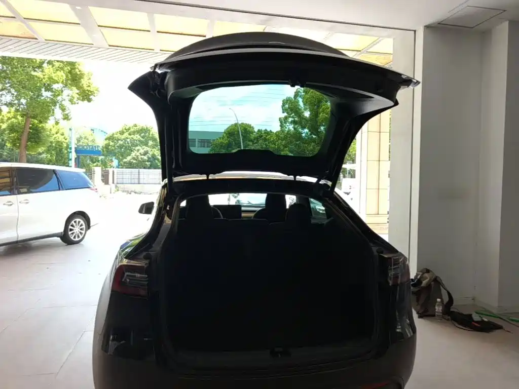 Tesla Model Y — миниатюра 19