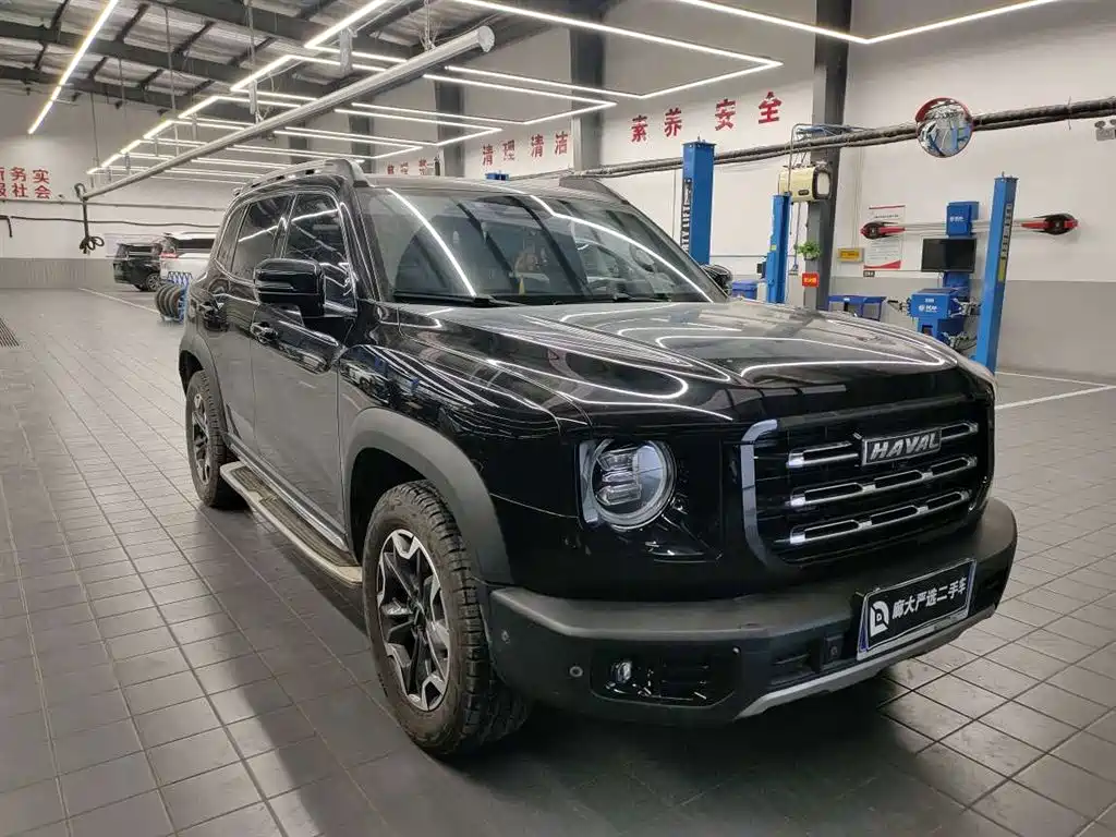HAVAL BIG DOG
