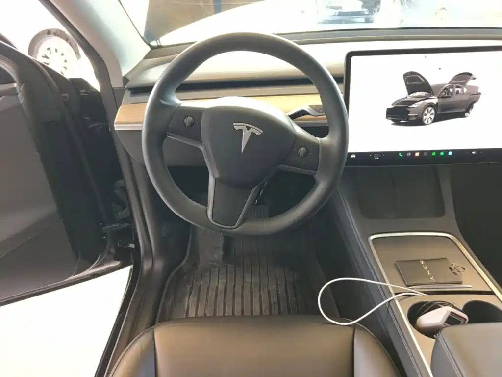 Tesla Model Y — миниатюра 11