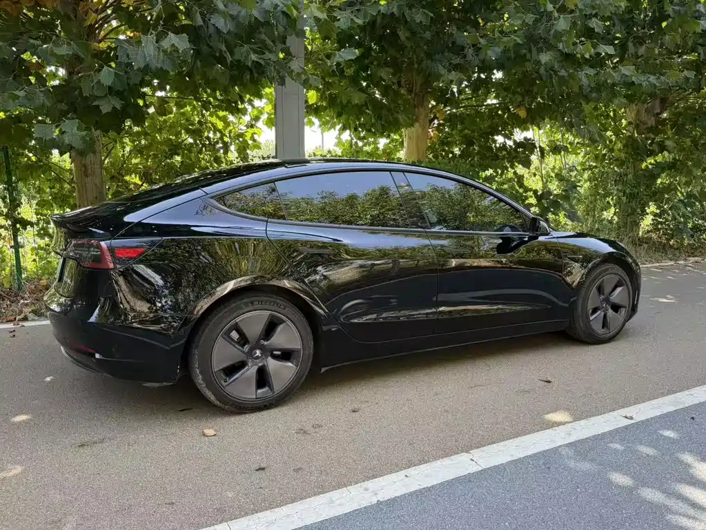 Tesla Model 3 — миниатюра 14