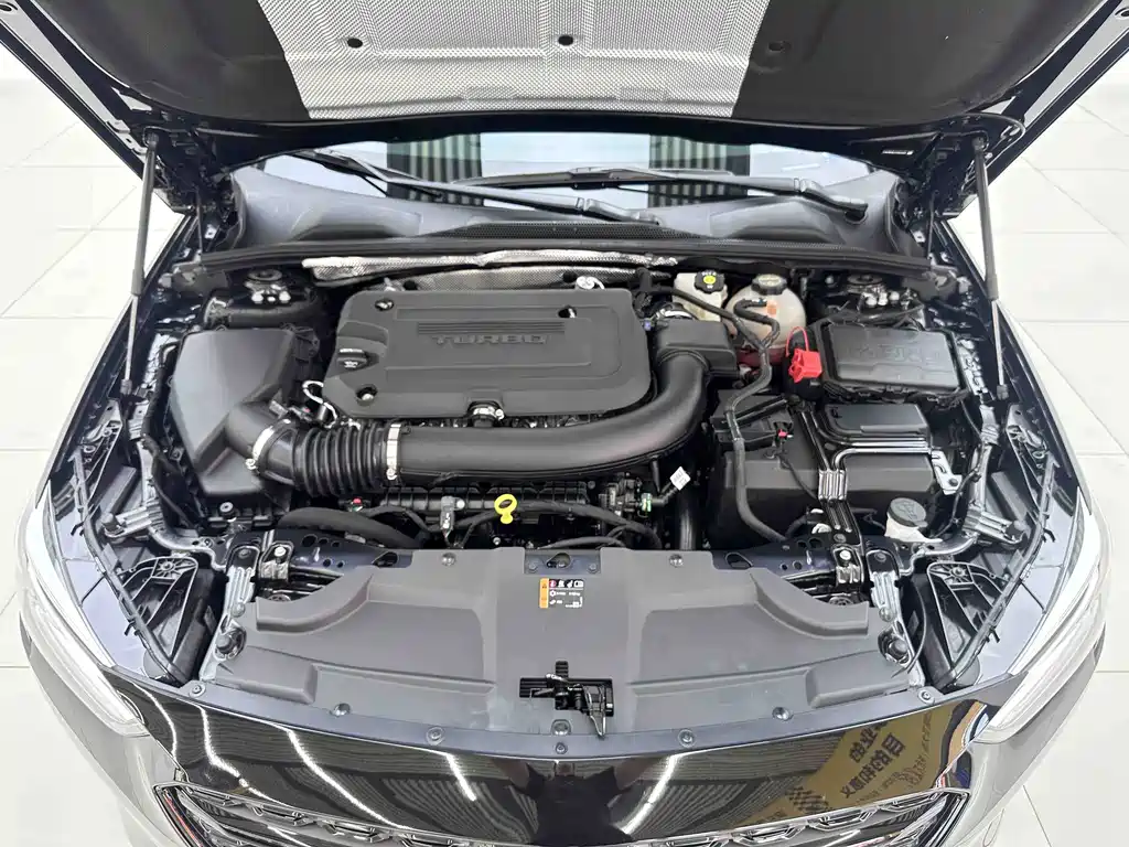 Buick Regal — миниатюра 7