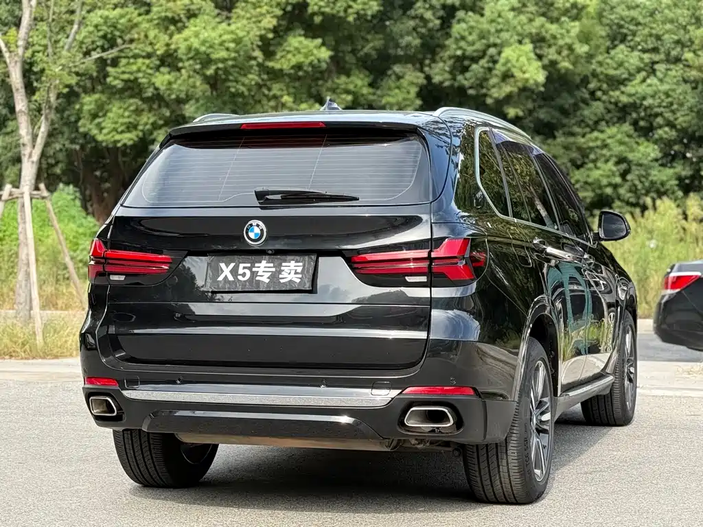 BMW X5 (Import) — миниатюра 15
