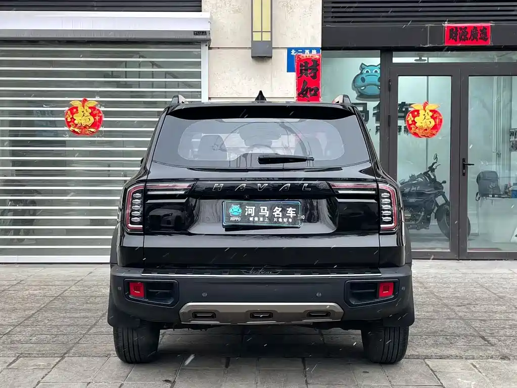 HAVAL BIG DOG