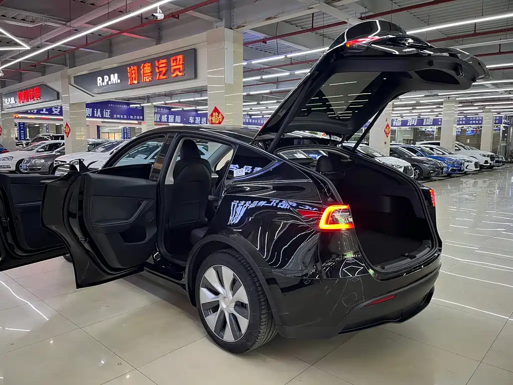 Tesla Model Y — миниатюра 15