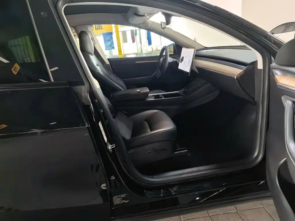 Tesla Model Y — миниатюра 25