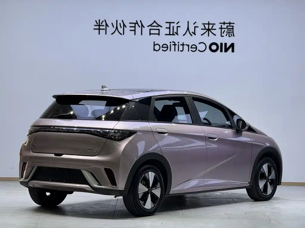 BYD Dolphin — миниатюра 19
