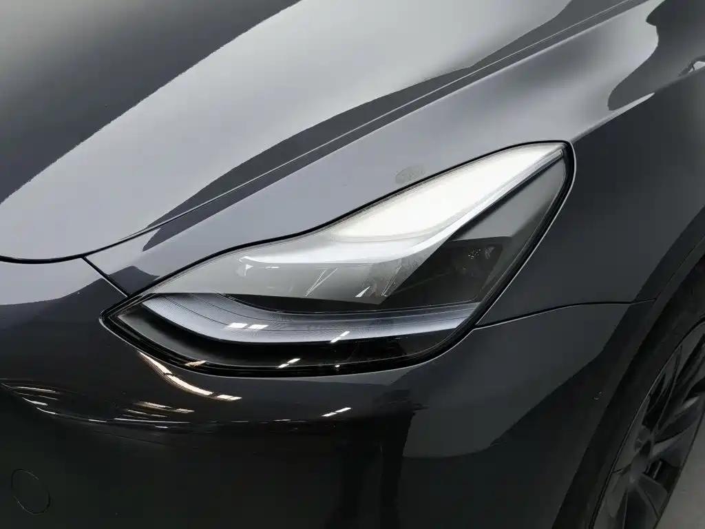 Tesla Model Y — миниатюра 7