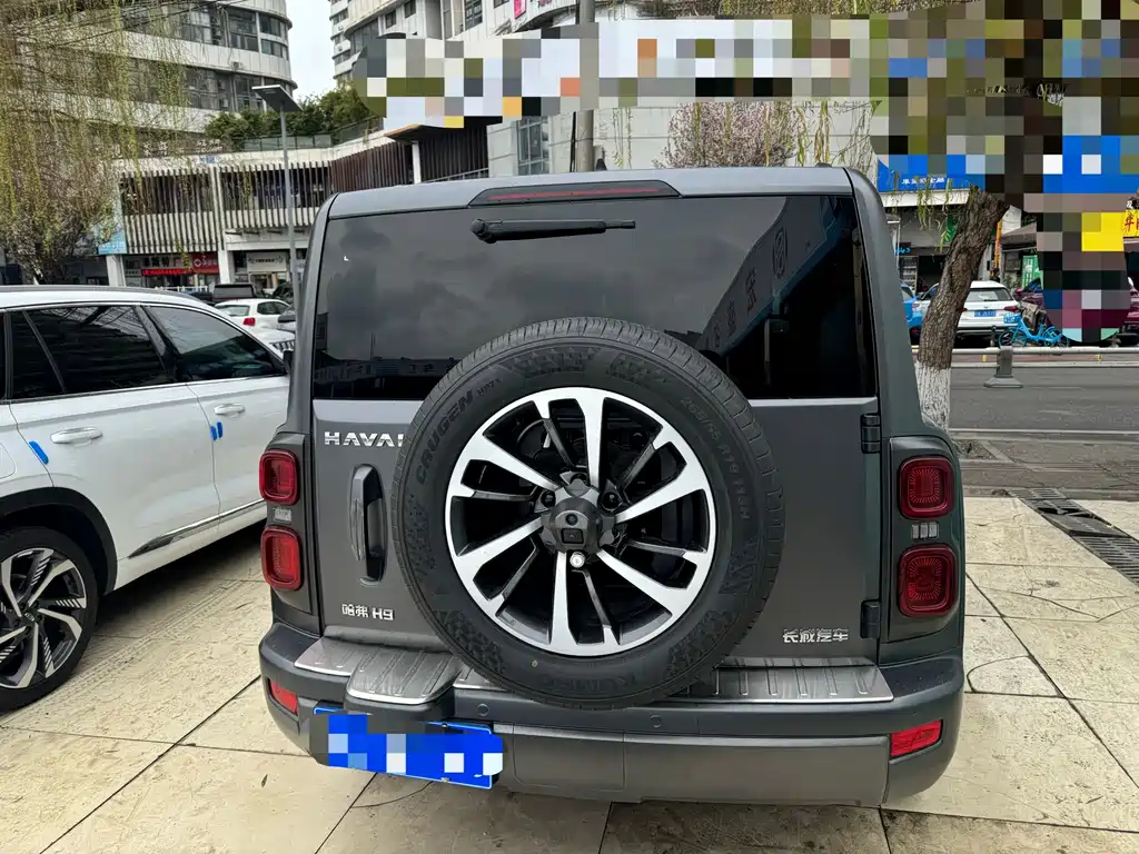 HAVAL H9
