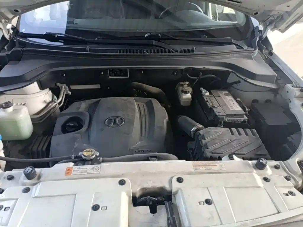 BAIC Senova X55 — миниатюра 20