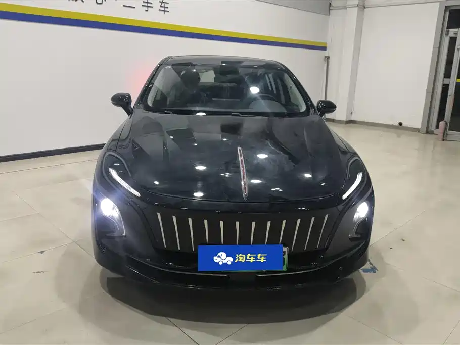 Hongqi HONGQI E QM5