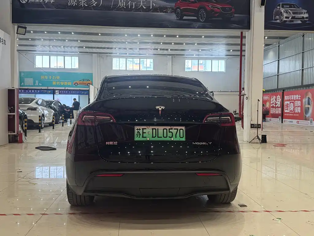 Tesla Model Y — миниатюра 5