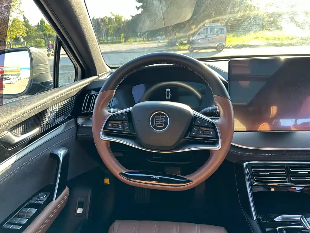 BYD Tang New Energy — миниатюра 22