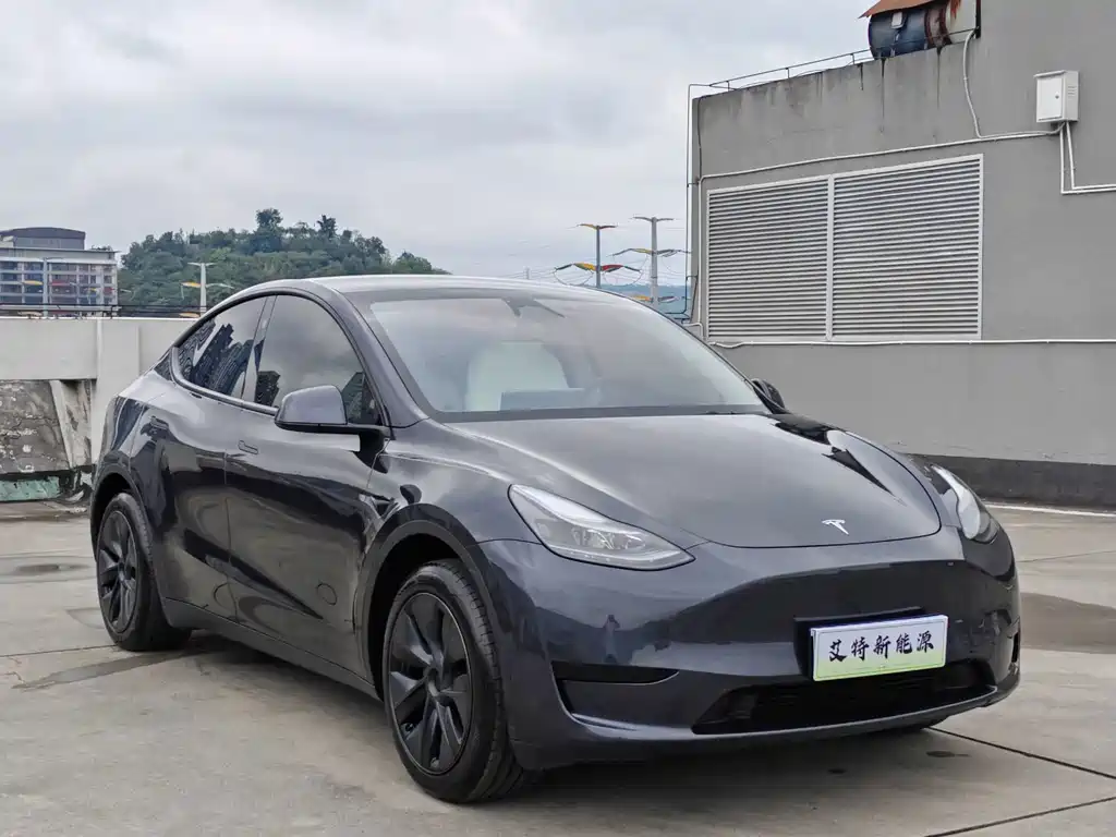 Tesla Model Y — миниатюра 3