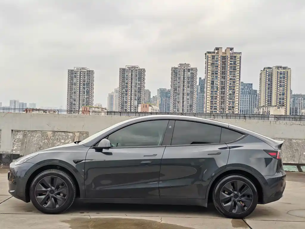 Tesla Model Y — миниатюра 4