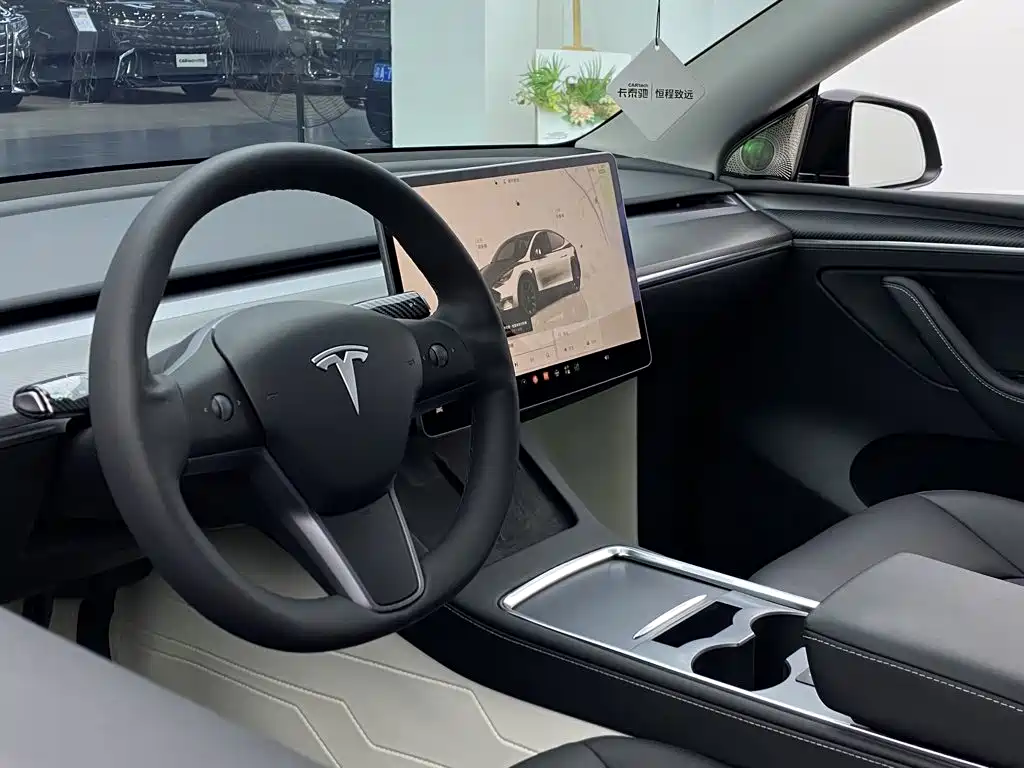 Tesla Model Y — миниатюра 34