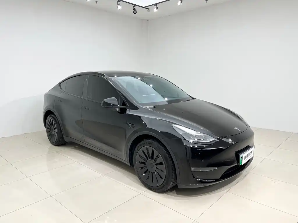 Tesla Model Y — миниатюра 3